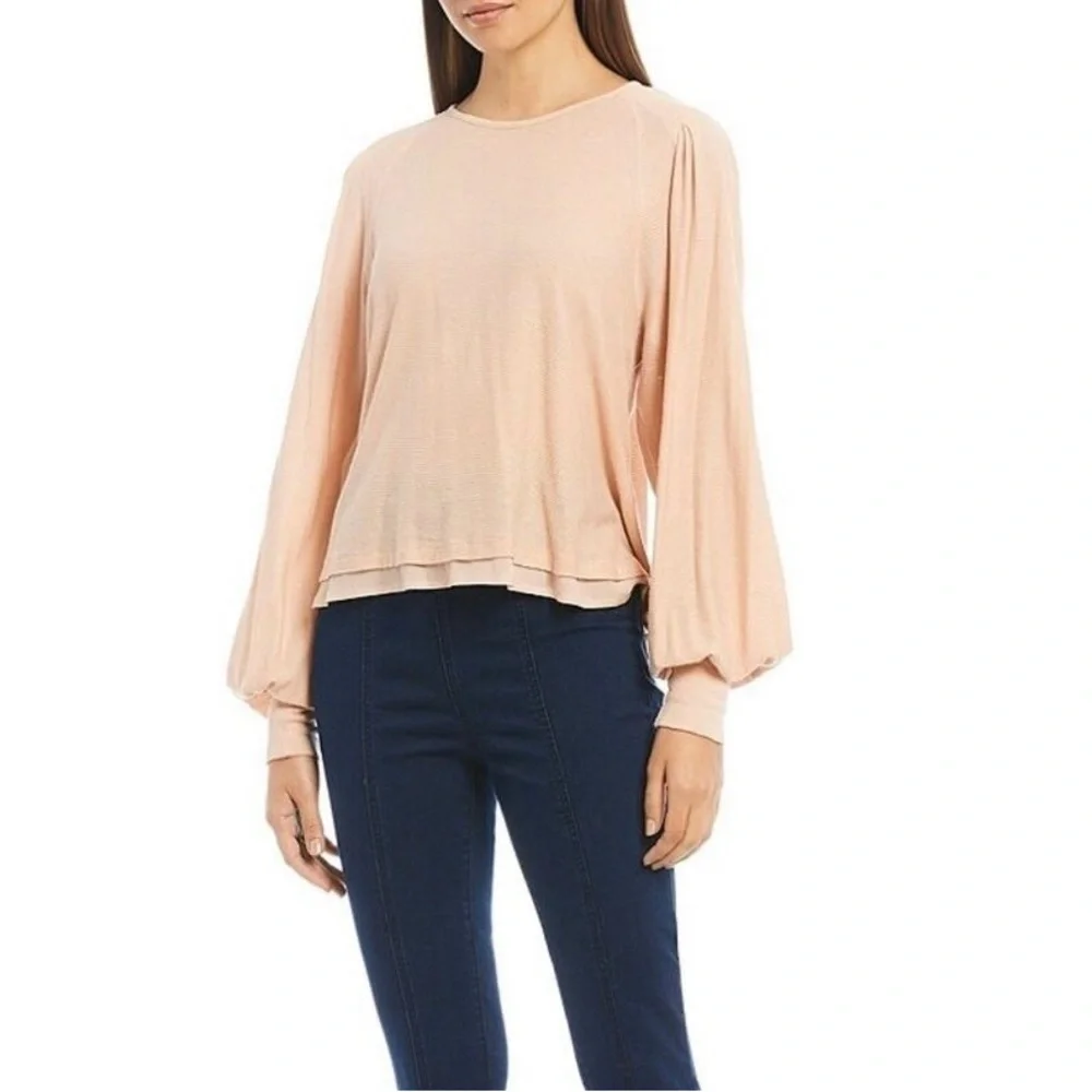 Free People Pink Sheer Long Sleeve Puff Sleeve Top Size Large